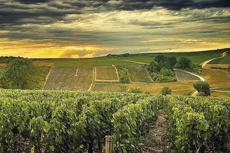  Съемка фильма в основном проходила в Бургундии в историческом Шато де Бери