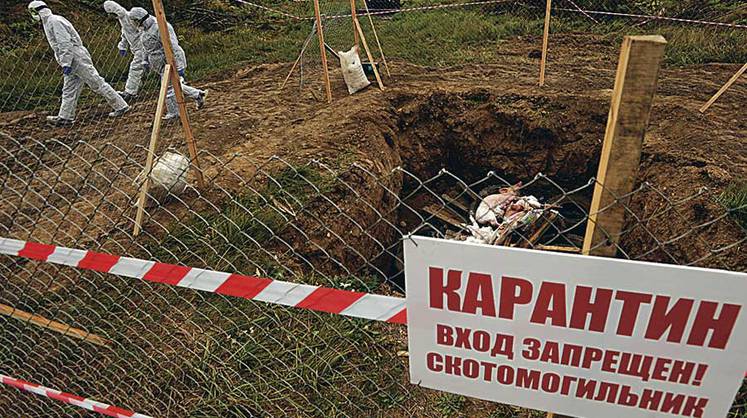 Калининградская область: нет скотомогильникам