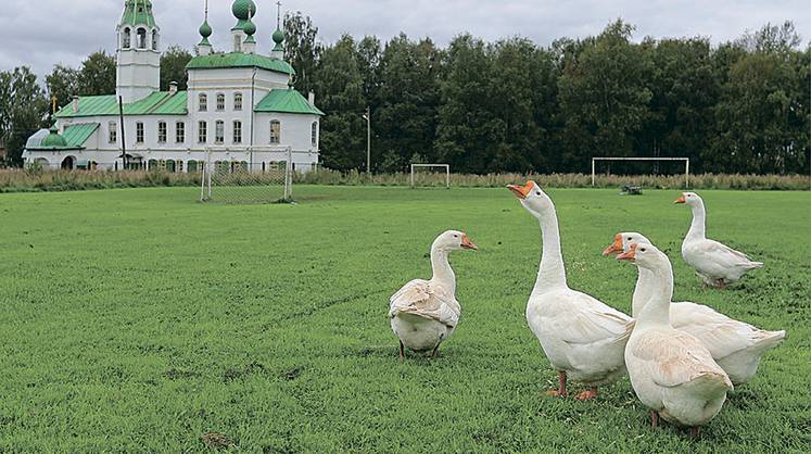 Финляндия: город без отходов