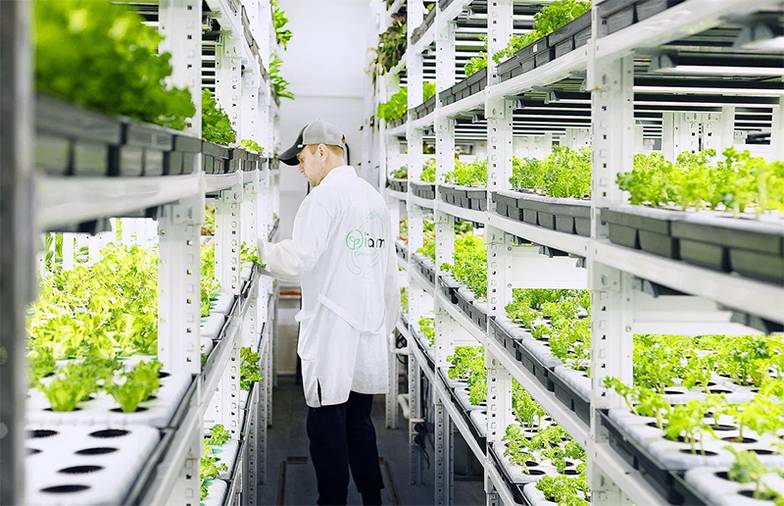 Олег Сердечников ИМЕТ РАН создает питательные среды и гидропонные растворы, обогащенные  биодоступными микроэлементами