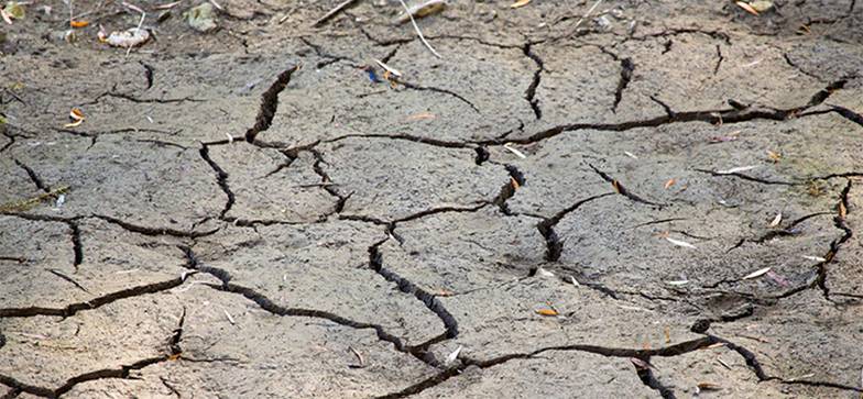 СЕРГЕЙ МАЛЬГАВКО/ТАСС По оценкам климатологов, по сравнению с периодом столетней давности засуха в южных регионах России сейчас  случается в пять раз чаще. Это результат глобального потепления и неумеренной хозяйственной деятельности —  большого количества водозаборов на реке Дон