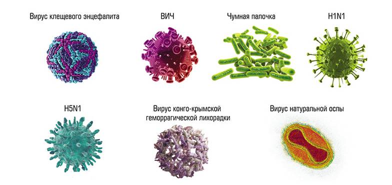  Наиболее актуальные для России патогены с "пандемийным" потенциалом