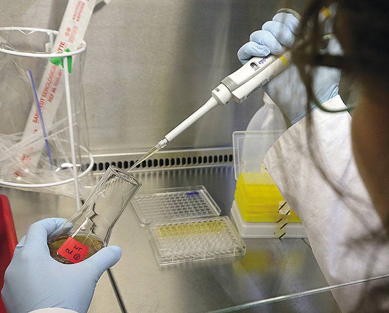 DPA/ТАСС Подобрать ключ к защитным ферментам бактерий — одна из принципиальных задач медицинской науки, которую  пытаются решить сильнейшие лаборатории мира