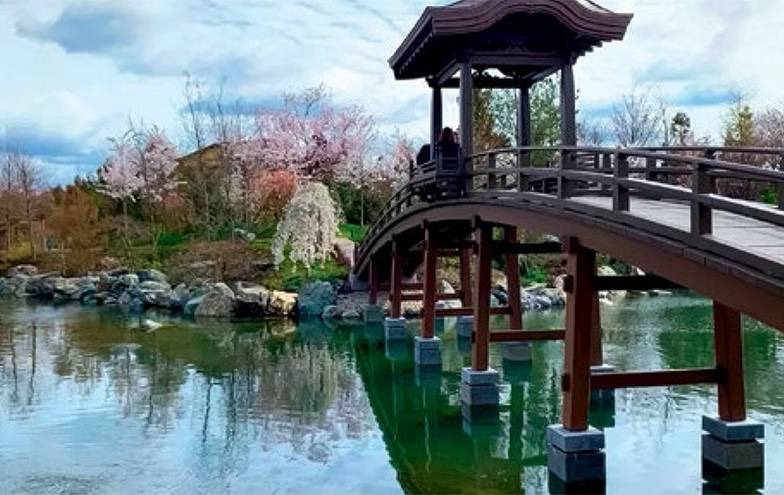 ФОТО: «ЭКСПЕРТ ЮГ» Японский сад, открывшийся 30 марта, называют крупнейшим за пределами Японии. Он занимает 7,5 гектара