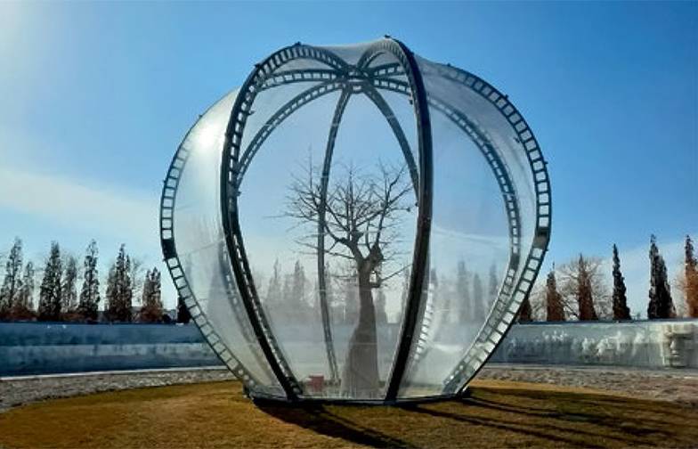 ФОТО: «ЭКСПЕРТ ЮГ» Зимовка бутылочного дерева, не привыкшего к северным широтам, прошла вот в таком пластиковом колпаке -  как и зимовка ряда других южных обитателей парка. Такая забота о растениях российскому обывателю в новинку