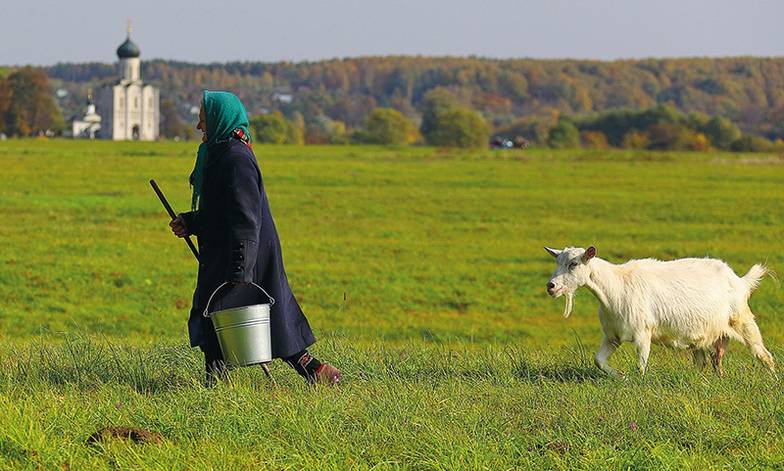 TASS Виды Владимирской области