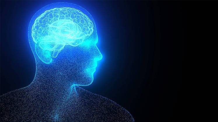 Найден способ продления молодости мозга — через стимуляцию светом