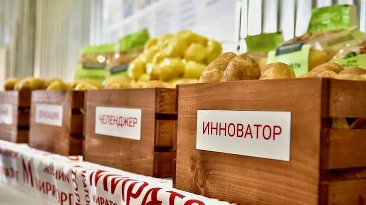 Картофель вплотную приблизился к фри
