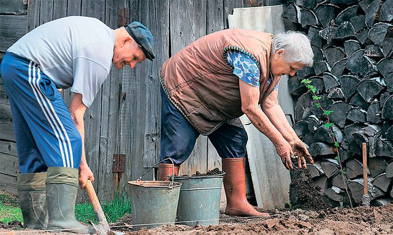 НЕТЕЛЕВ РОБЕРТ/ФОТОХРОНИКА ТАСС Россияне до сих пор рассчитывают на государственную пенсию, но многие либо продолжат работать, либо будут жить с помощью накоплений, дачи и семьи