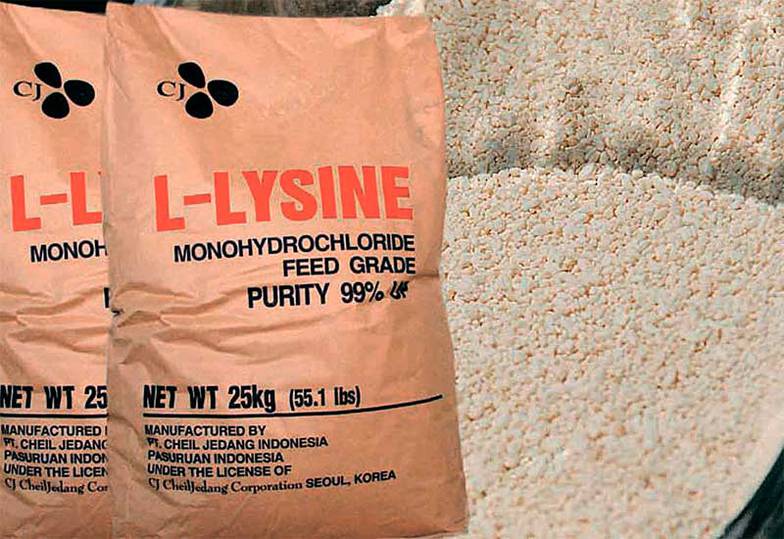  Производство белковых добавок — ниша с самой высокой добавленной стоимостью в переделе зерна