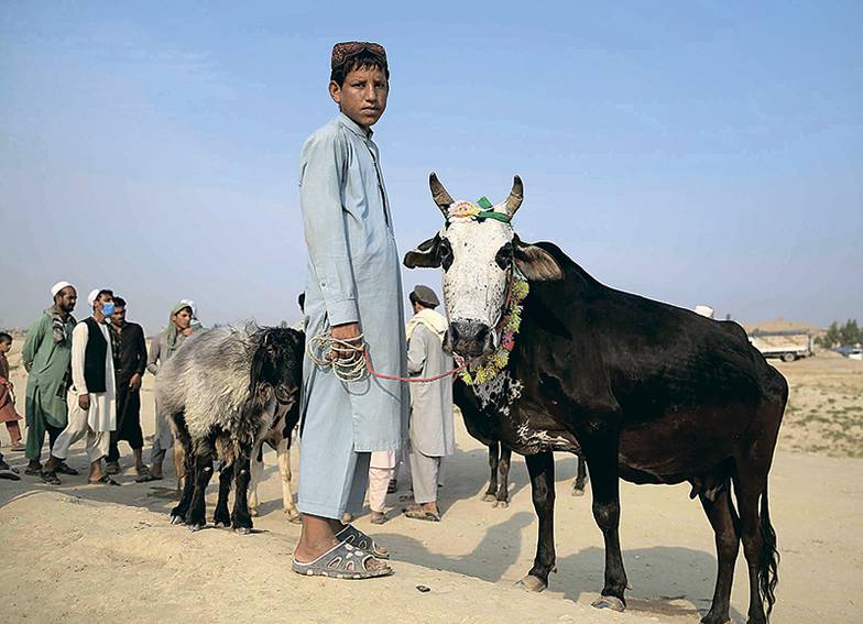 GHULAMULLAH HABIBI/EPA 