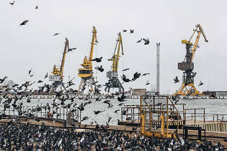 СЕРГЕЙ БОБЫЛЕВ/ТАСС На долю морских портов приходится около 80% всех грузоперевозок Украины