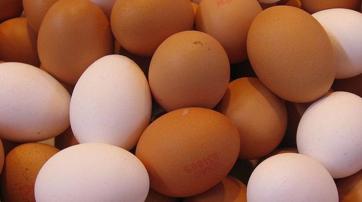 Генеральный директор Росптицесоюза: в ценообразовании на яйцо импорт роли не сыграет