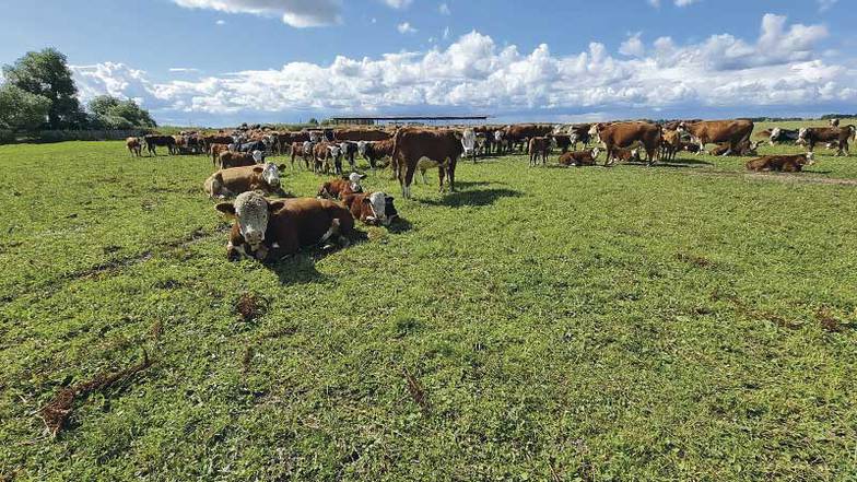Из личного архива Андрея Давыдова 