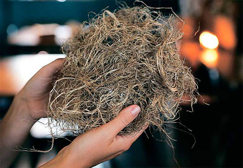 Олег Сердечников Получение пеньки — первый передел в производстве конопляного текстиля