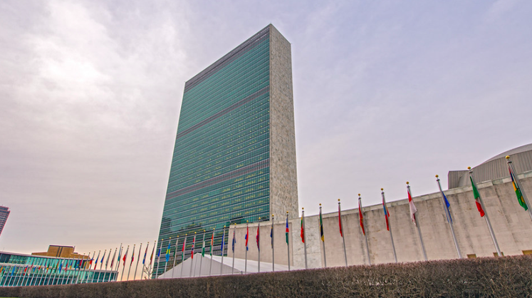 Талибы просятся в ООН