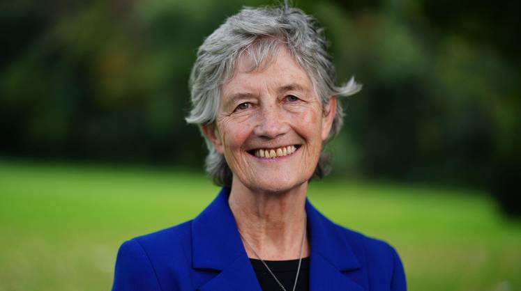 В Ирландии победила независимая кандидатка — евроскептик Коннолли В Ирландии победила независимая кандидатка — евроскептик Коннолли