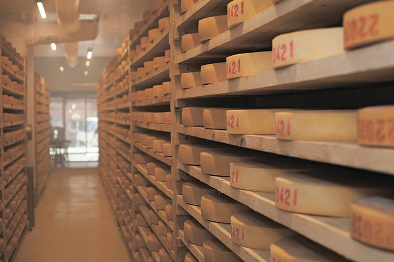 Олег Сердечников При производстве качественных сыров процесс созревания — самый долгий и ответственный период в технологической цепочке