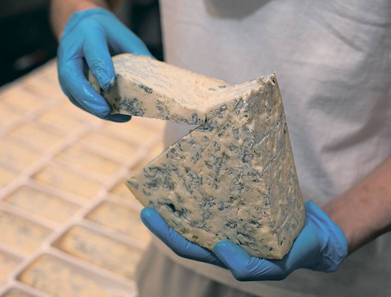 Олег Сердечников Горгондзола — один из лучших сыров в ассортименте компании Moloko Group