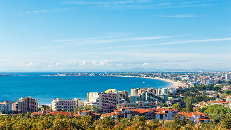 international.business 