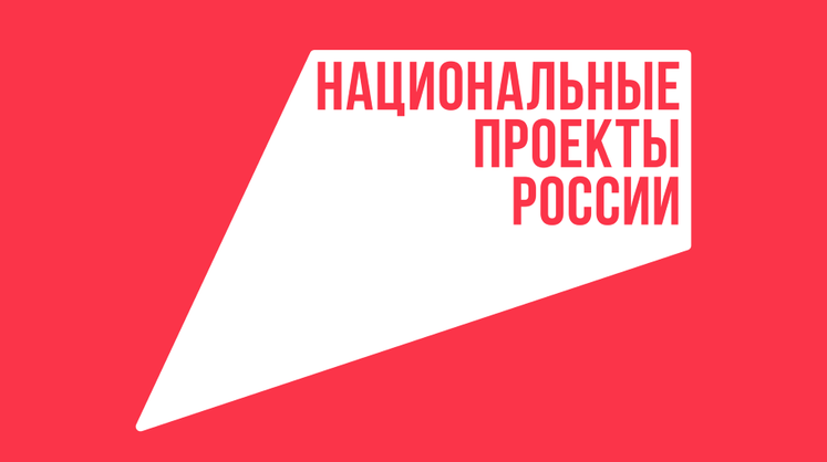 Бюджет на нацпроекты в прошлом году был израсходован не полностью