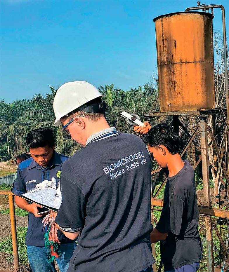  НПО «Биомикрогели» намерено поставлять фабрикам в Индонезии и Малайзии решения, с помощью которых те повысят экстракцию пальмового масла при его производстве и снизят содержание в сточных водах