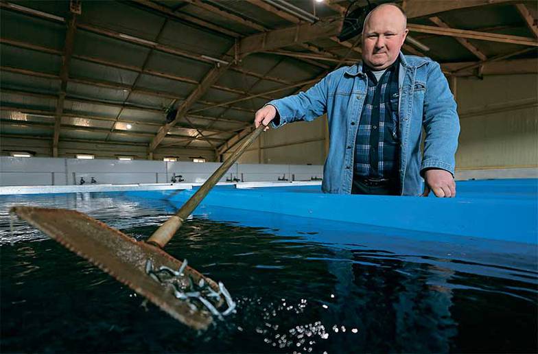 ЮРИЙ СМИТЮК/ТАСС Общее производство товарного лосося в нашей стране составляет 137 тыс. тонн — это треть от общего объема производства аквакультурной рыбы