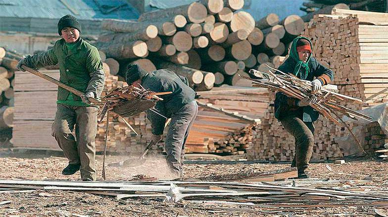 FREDERIC BROWN/AFP В лесозаготовке работают тысячи китайских компаний под видом российского бизнеса