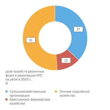 Росстат Личные подсобные хозяйства реализуют больше всего мяса КРС