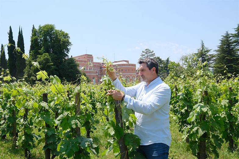 Фото Александр Аверин 