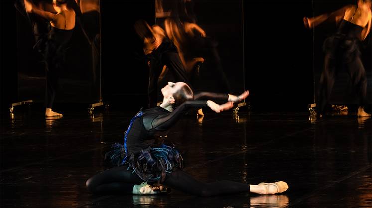 Спектакль на стыке различных видов искусств