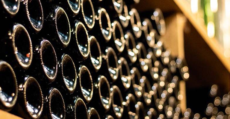 ДИЛАРА ДАУТОВА, «ЭКСПЕРТ ЮГ» 