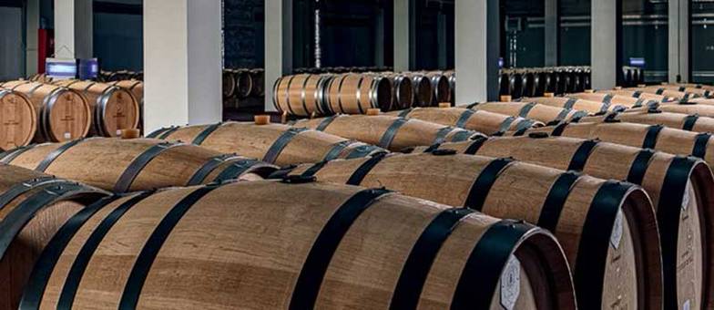  «До 2027 года наладим полноценную  эксплуатацию всех виноградников.  В этом году у нас первый сезон,  когда мы встречали туристов»