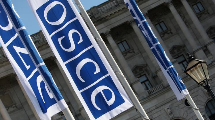 В Хельсинки указали на риск распада ОБСЕ