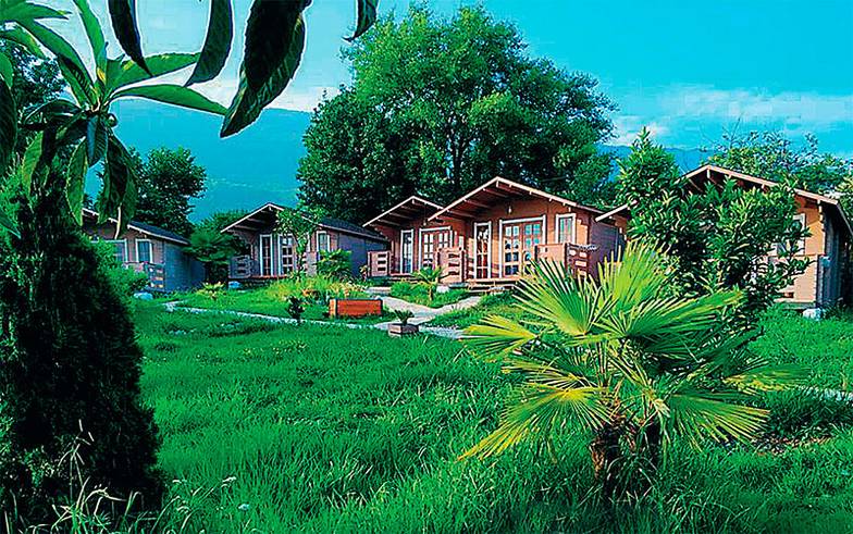 БЕРТ КОРК Изоляция уничтожила сельское хозяйство. Разросшийся без ухода чай превратился в дикие джунгли, а мандарины убила собственная синильная кислота в цедре