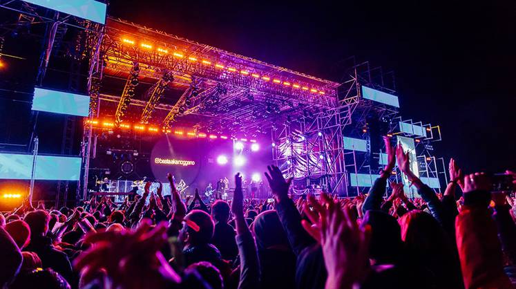 На поле фестиваля "Дикая Мята" будет построен первый дом