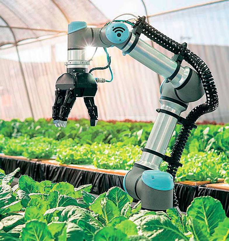  Роботизация — один из главных трендов в современном сельском хозяйстве