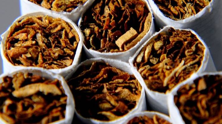 Росалкогольрегулирование наделят дополнительными функциями по контролю за оборотом табака