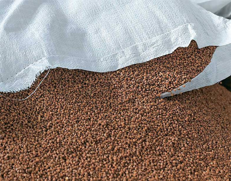 КИРИЛЛ КУХМАРЬ/ТАСС Из-за ажиотажа магазины не успевают заполнять полки, хотя и сахара, и гречки в стране достаточно