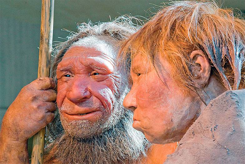 AP PHOTO/MARTIN MEISSNER Музейная реконструкция неандертальцев, мужчину прозвали N (слева), а женщину — Вильма