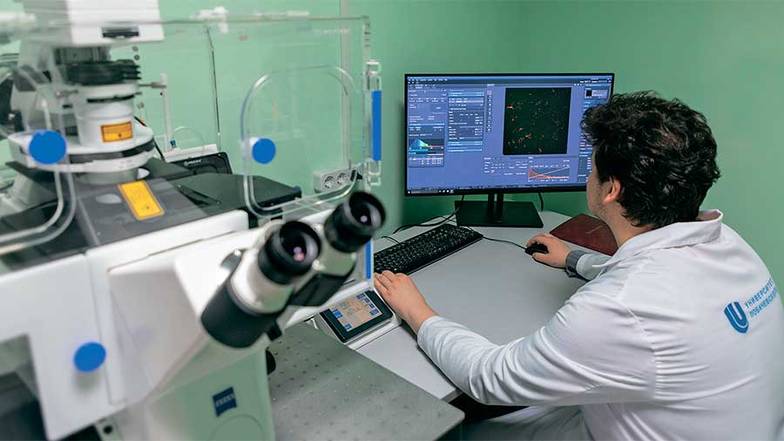 пресс-служба ННГУ В лаборатории Института биологии старения ННГУ