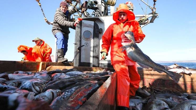 Глава Росрыболовства оценил ход лососевой путины