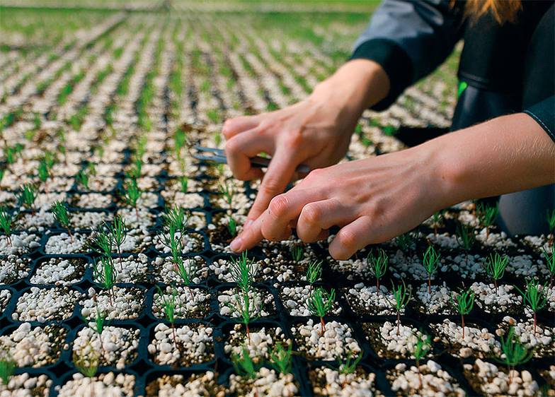 ВЛАДИМИР СМИРНОВ/ТАСС 