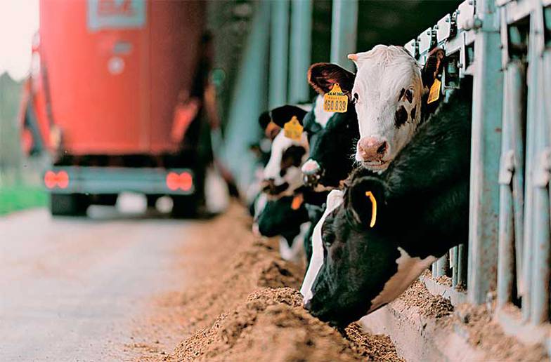  Техника отмерит ровно столько еды, сколько положено