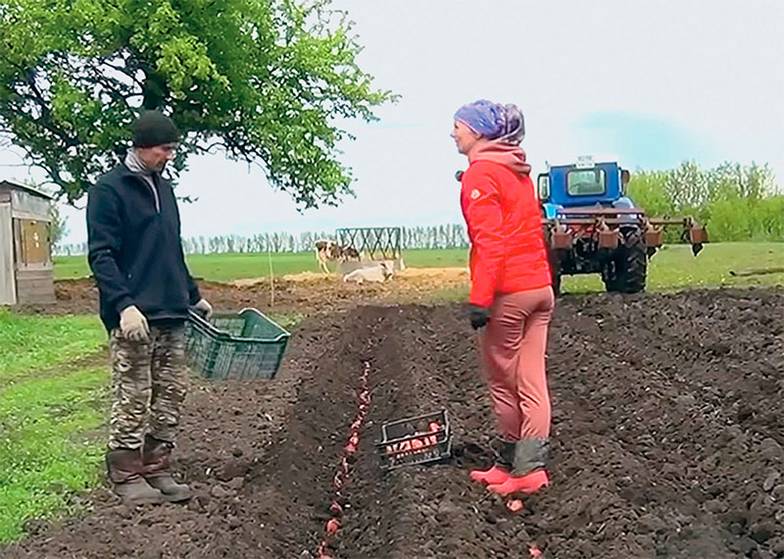 ИЗ ЛИЧНОГО АРХИВА Семья Афониных