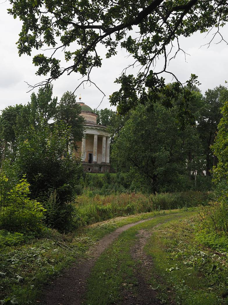 Елена Горбачева 