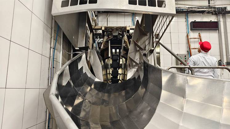 Российская компания идет к высшей мировой лиге в роботизации пищепрома