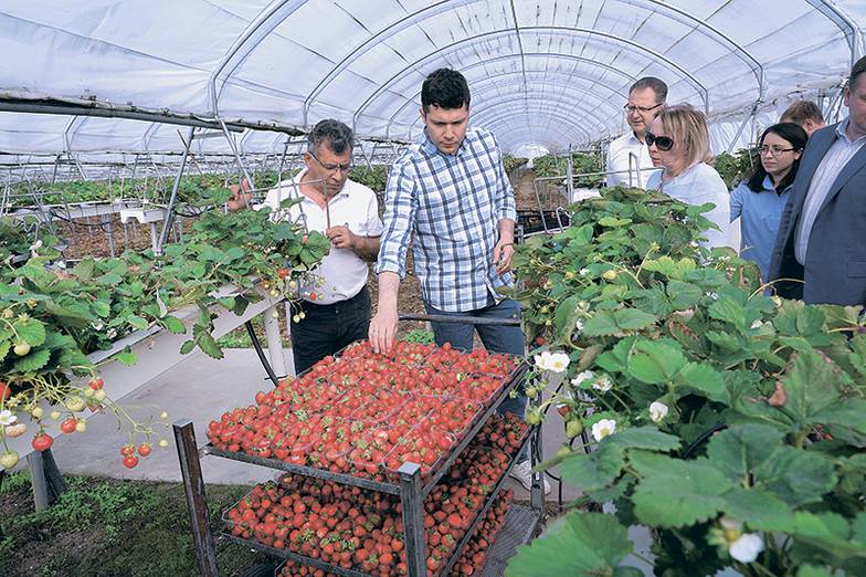 ПРЕДОСТАВЛЕНО ПРЕСС-СЛУЖБОЙ ГУБЕРНАТОРА 