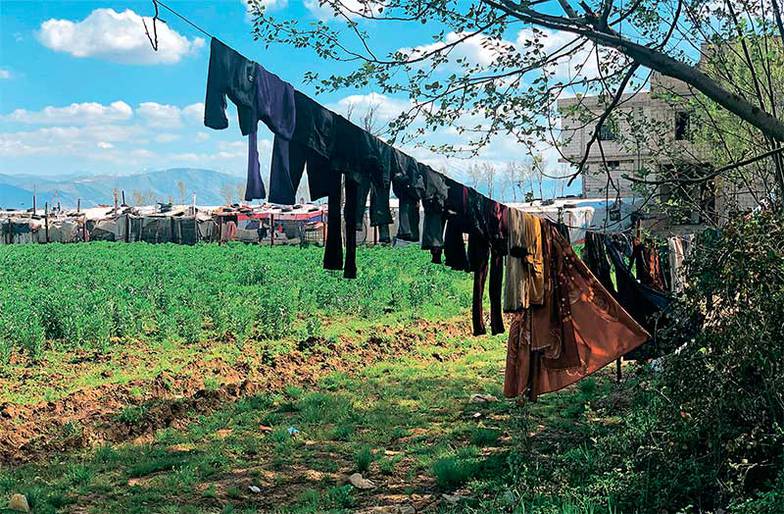 Дарья Соловьева 