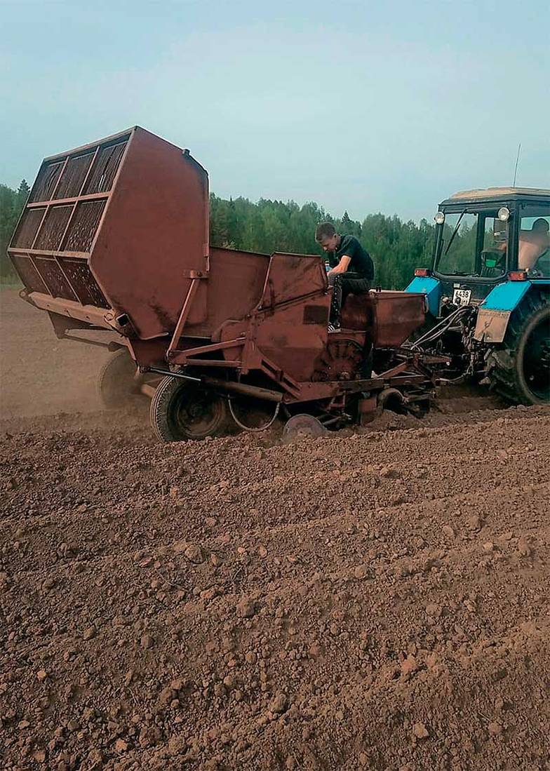  Улучшенные семена из Удмуртии выращивают для продажи в розницу, для мелких частников — огромному количеству людей, которые на своих участках выращивают картофель себе на еду
